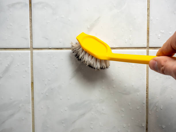 Best Home Mold Removal  in Foscoe, NC