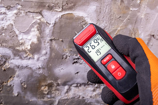 Best Mold Remediation  in Foscoe, NC
