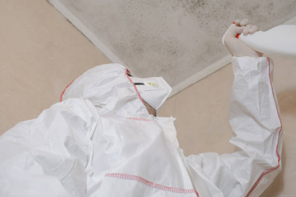Certified Mold Removal in Foscoe, NC